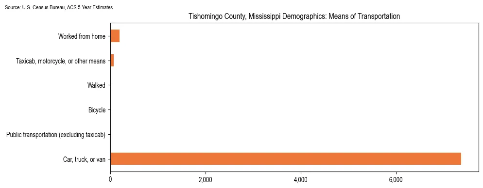 How people commute to work in Tishomingo County, Mississippi based on 2023 U.S. Census Bureau ACS data on transportation methods