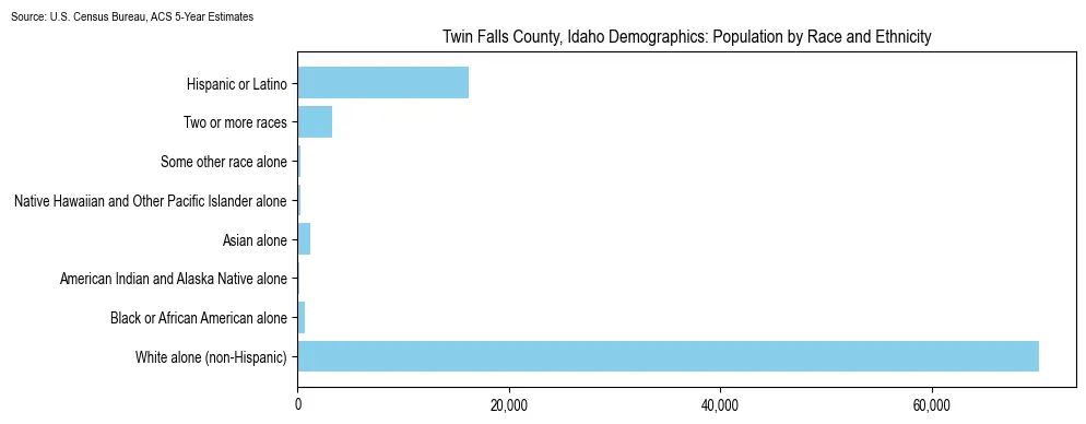 Population by race and ethnicity in Twin Falls County, Idaho based on 2023 U.S. Census Bureau ACS data