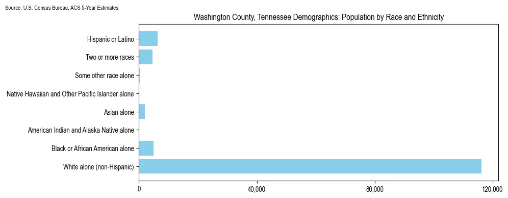 Population by race and ethnicity in Washington County, Tennessee based on 2023 U.S. Census Bureau ACS data