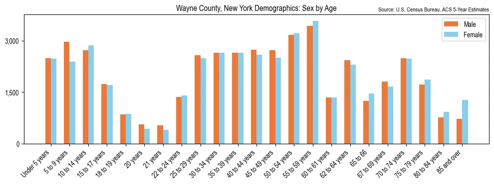 Population by age and sex in Wayne County, New York, based on 2023 ACS data