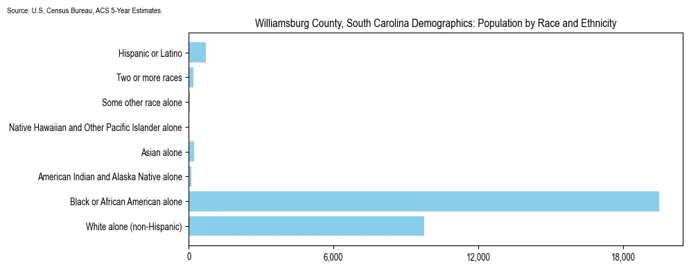 Population by race and ethnicity in Williamsburg County, South Carolina based on 2023 U.S. Census Bureau ACS data