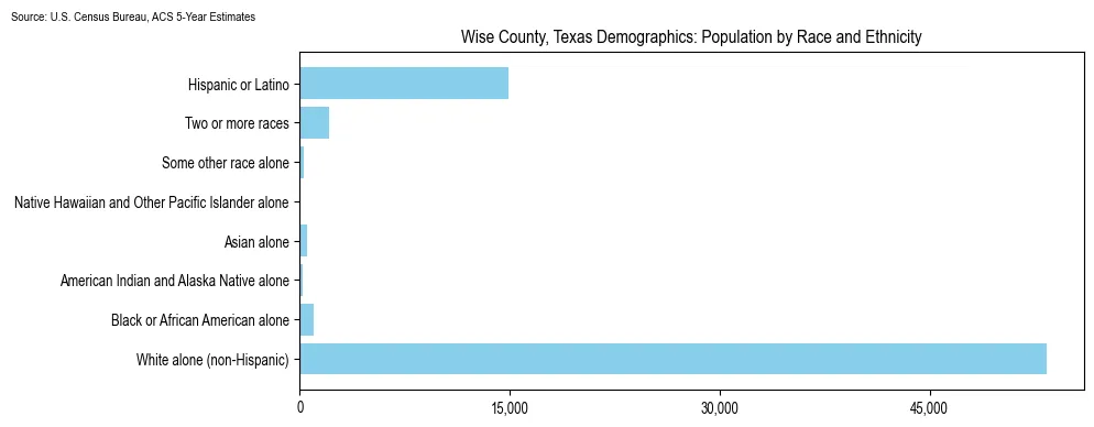 Population by race and ethnicity in Wise County, Texas based on 2023 U.S. Census Bureau ACS data