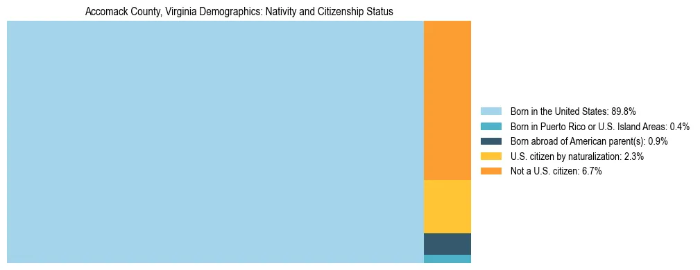 Treemap showing the population distribution by nativity and citizenship status in Accomack County, Virginia based on U.S. Census data.