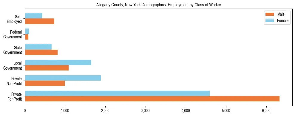 Horizontal bar chart showing employment distribution by class of worker and gender in Allegany County, New York, based on 2023 ACS data.