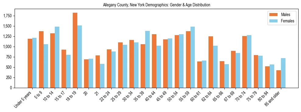 Bar chart showing the population distribution of Allegany County, New York by age group and gender, based on 2023 ACS data.