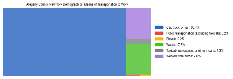 Treemap showing means of transportation to work distribution in Allegany County, New York.