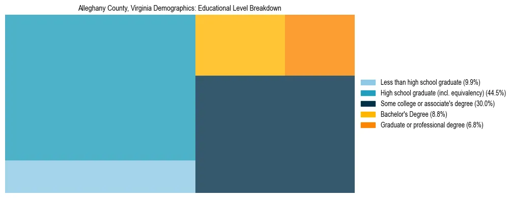 Treemap chart illustrating the educational attainment breakdown for population 25 years and over in Alleghany County, Virginia.