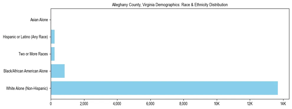 Race and Ethnicity Distribution Chart for Alleghany County, Virginia