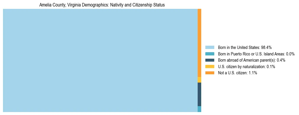 Treemap showing the population distribution by nativity and citizenship status in Amelia County, Virginia based on U.S. Census data.