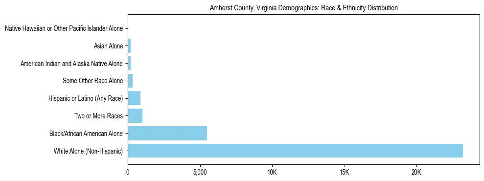 Race and Ethnicity Distribution Chart for Amherst County, Virginia