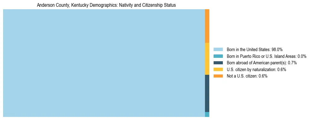 Treemap showing the population distribution by nativity and citizenship status in Anderson County, Kentucky based on U.S. Census data.