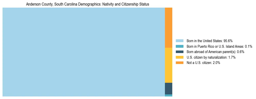 Treemap showing the population distribution by nativity and citizenship status in Anderson County, South Carolina based on U.S. Census data.