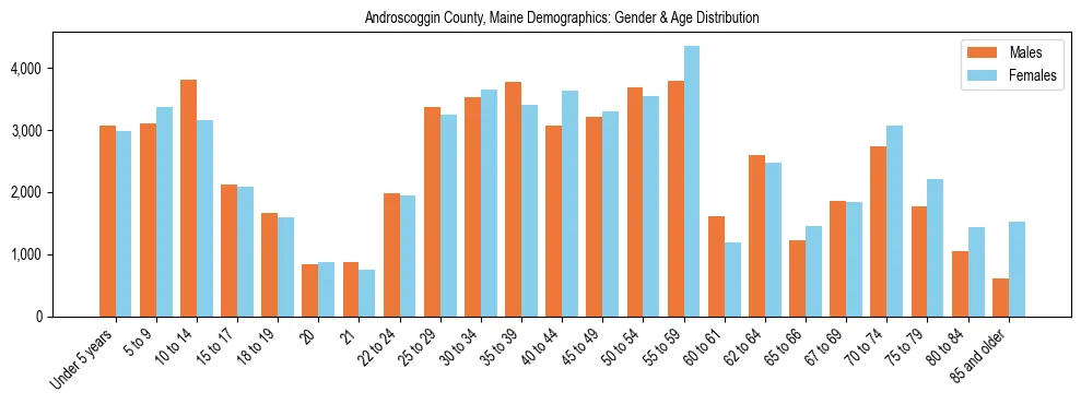 Population pyramid for Androscoggin County, Maine showing male vs female age distribution based on 2023 ACS data.