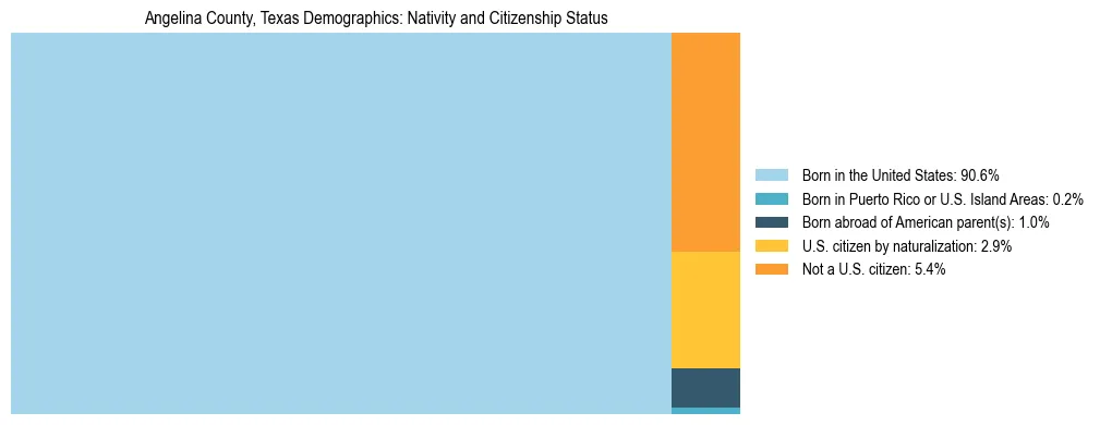 Treemap showing the population distribution by nativity and citizenship status in Angelina County, Texas based on U.S. Census data.
