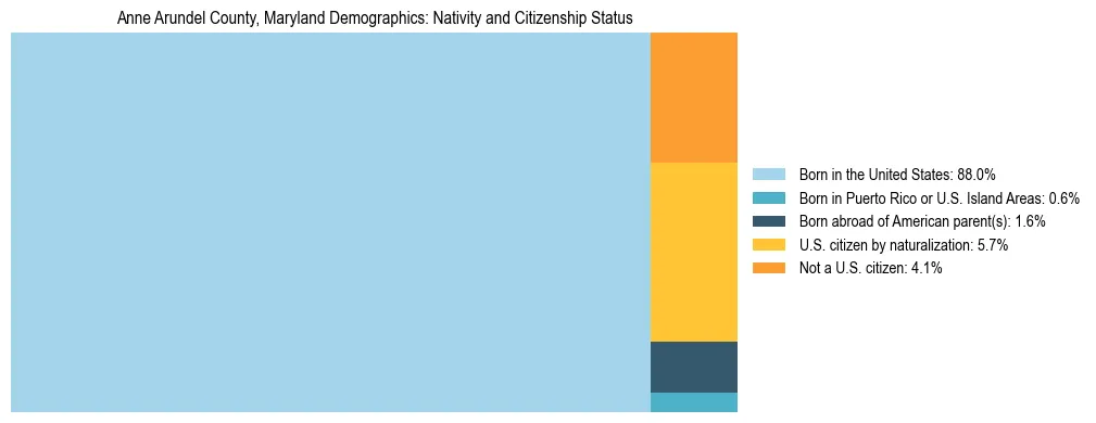 Treemap showing the population distribution by nativity and citizenship status in Anne Arundel County, Maryland based on U.S. Census data.