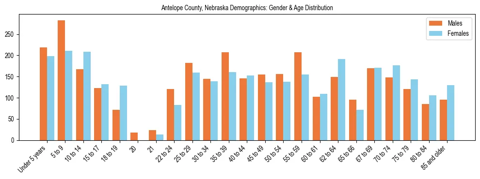 Bar chart showing the population distribution of Antelope County, Nebraska by age group and gender, based on 2023 ACS data.