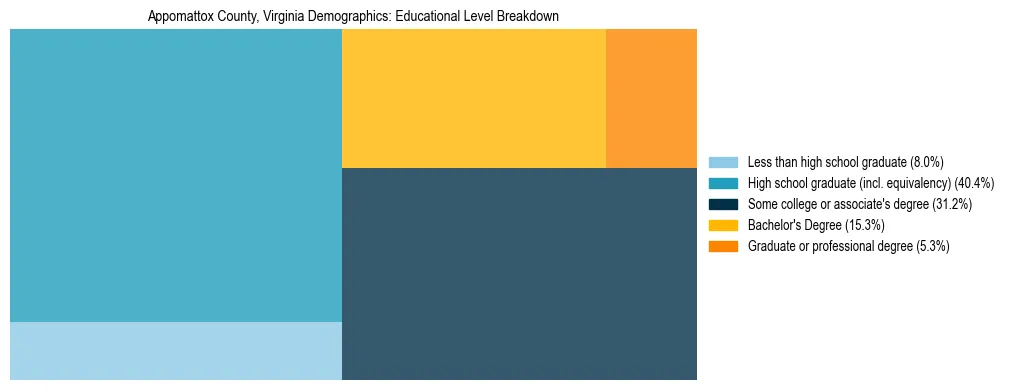 Treemap chart illustrating the educational attainment breakdown for population 25 years and over in Appomattox County, Virginia.