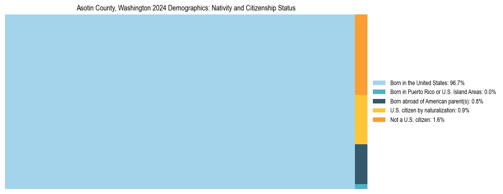 Treemap showing the population distribution by nativity and citizenship status in Asotin County, Washington based on U.S. Census data.