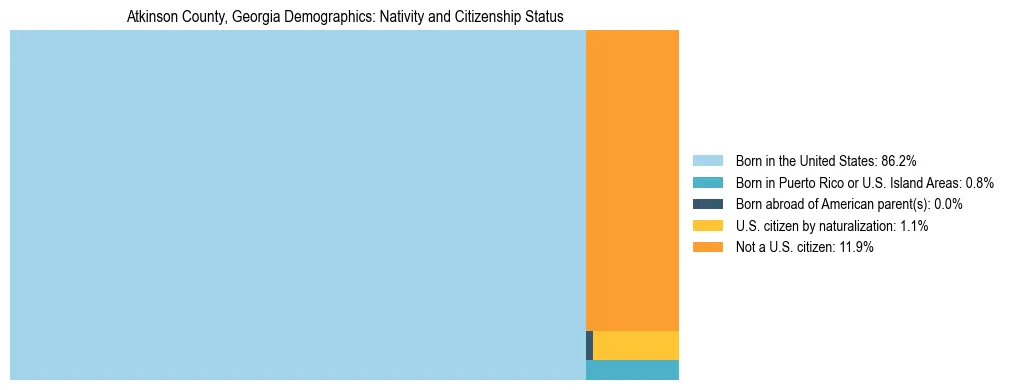 Treemap showing the population distribution by nativity and citizenship status in Atkinson County, Georgia based on U.S. Census data.
