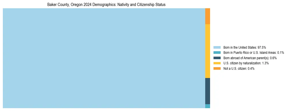 Treemap showing the population distribution by nativity and citizenship status in Baker County, Oregon based on U.S. Census data.