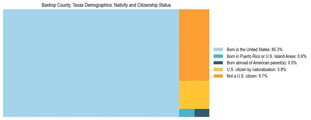 Treemap showing the population distribution by nativity and citizenship status in Bastrop County, Texas based on U.S. Census data.