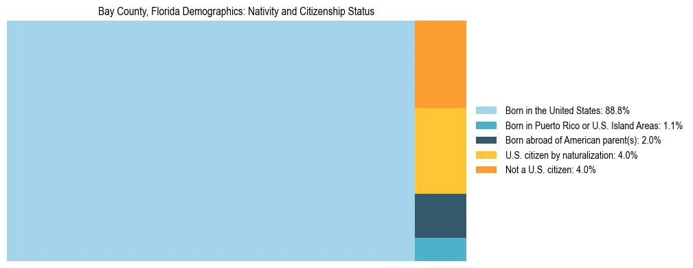Treemap showing the population distribution by nativity and citizenship status in Bay County, Florida based on U.S. Census data.