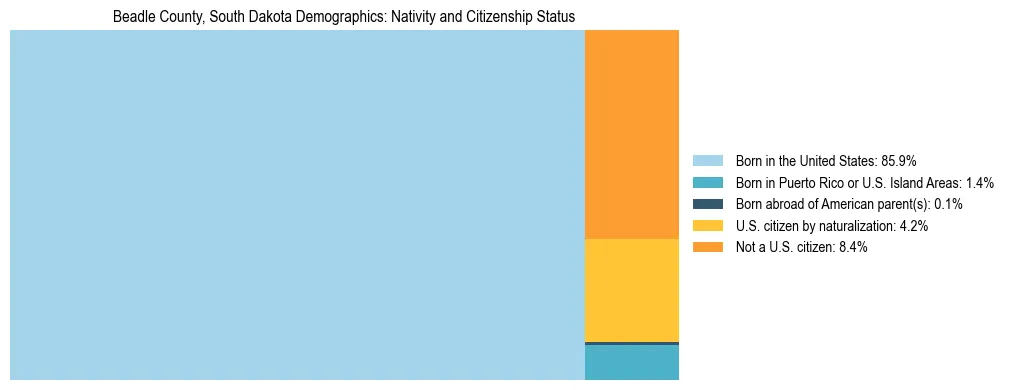 Treemap showing the population distribution by nativity and citizenship status in Beadle County, South Dakota based on U.S. Census data.
