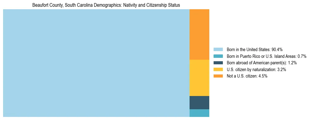 Treemap showing the population distribution by nativity and citizenship status in Beaufort County, South Carolina based on U.S. Census data.