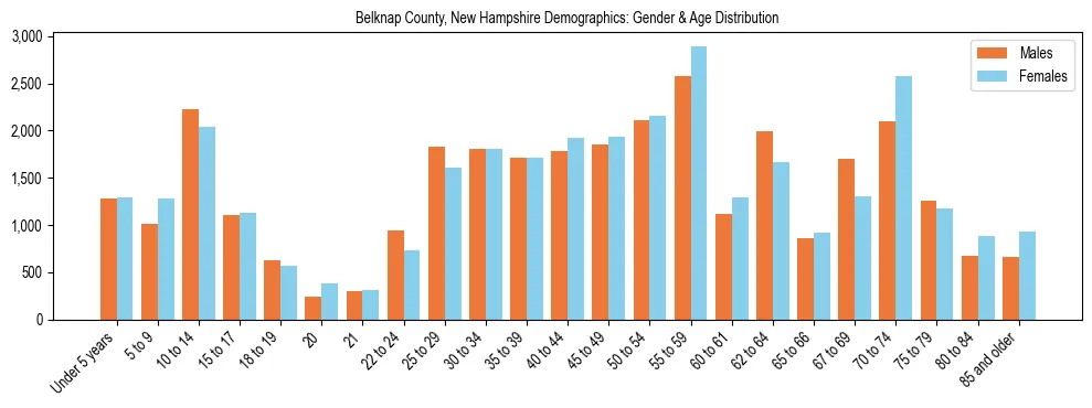 Bar chart showing the population distribution of Belknap County, New Hampshire by age group and gender, based on 2023 ACS data.