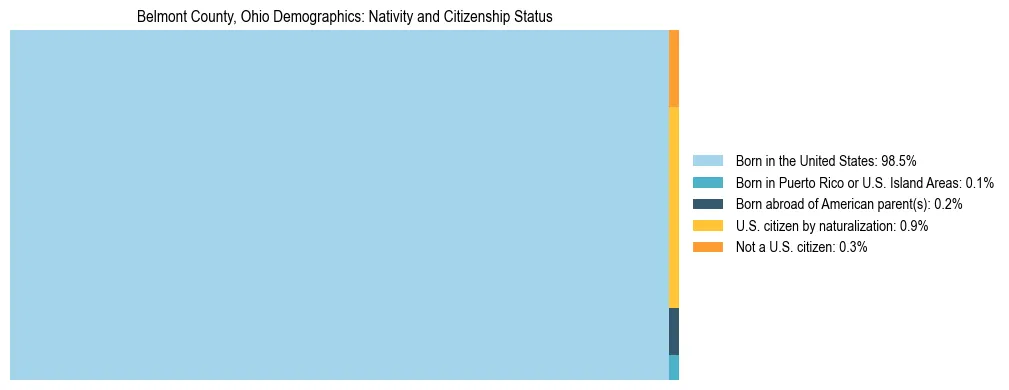 Treemap showing the population distribution by nativity and citizenship status in Belmont County, Ohio based on U.S. Census data.