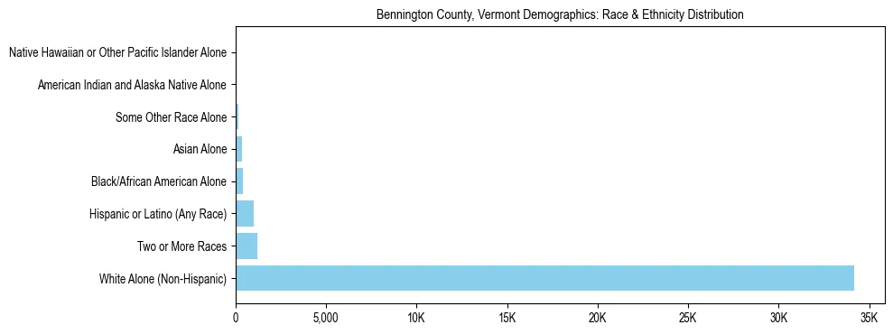 Race and Ethnicity Distribution Chart for Bennington County, Vermont