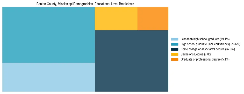Treemap chart illustrating the educational attainment breakdown for population 25 years and over in Benton County, Mississippi.