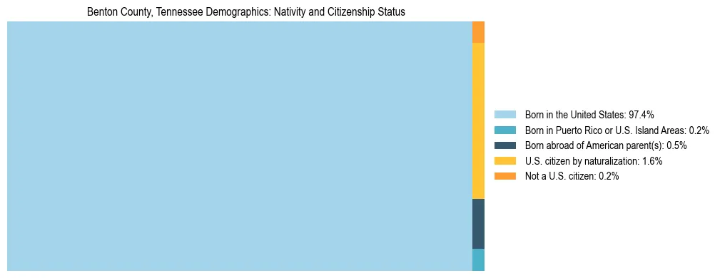 Treemap showing the population distribution by nativity and citizenship status in Benton County, Tennessee based on U.S. Census data.