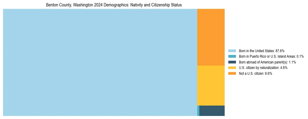 Treemap showing the population distribution by nativity and citizenship status in Benton County, Washington based on U.S. Census data.