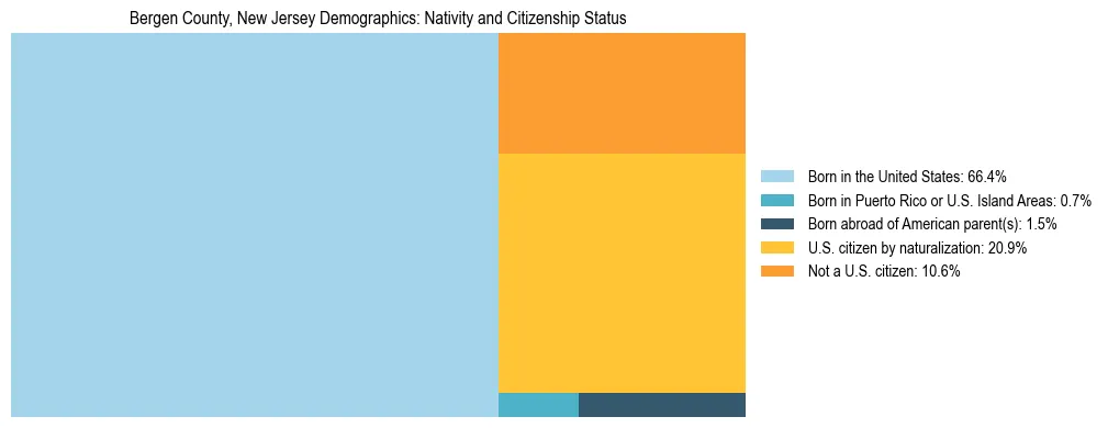 Treemap showing the population distribution by nativity and citizenship status in Bergen County, New Jersey based on U.S. Census data.