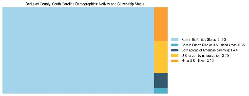 Treemap showing the population distribution by nativity and citizenship status in Berkeley County, South Carolina based on U.S. Census data.