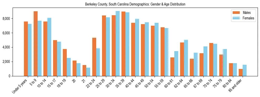 Bar chart showing the population distribution of Berkeley County, South Carolina by age group and gender, based on 2023 ACS data.