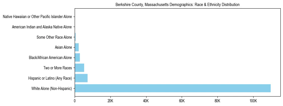 Race and Ethnicity Distribution Chart for Berkshire County, Massachusetts