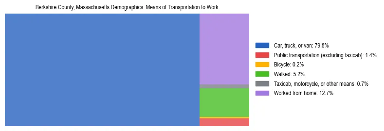Treemap showing means of transportation to work distribution in Berkshire County, Massachusetts.