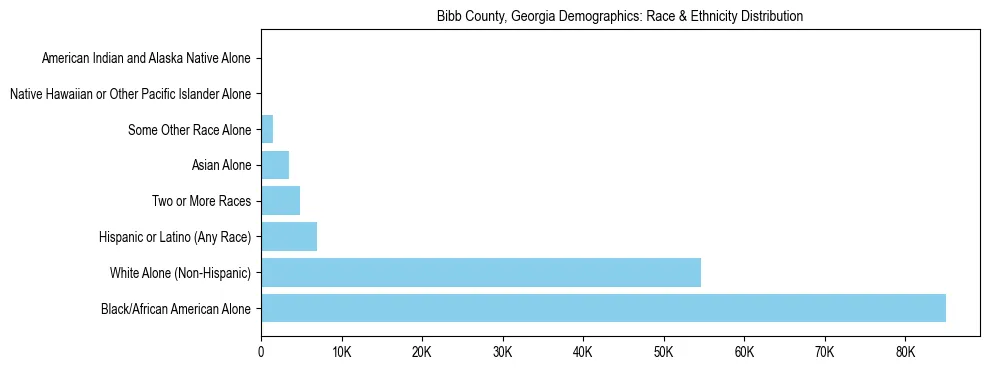 Race and Ethnicity Distribution Chart for Bibb County, Georgia