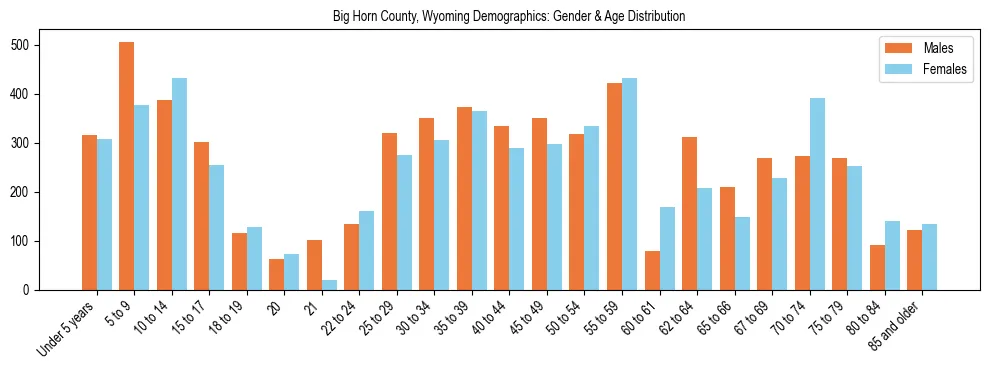 Bar chart showing the population distribution of Big Horn County, Wyoming by age group and gender, based on 2023 ACS data.
