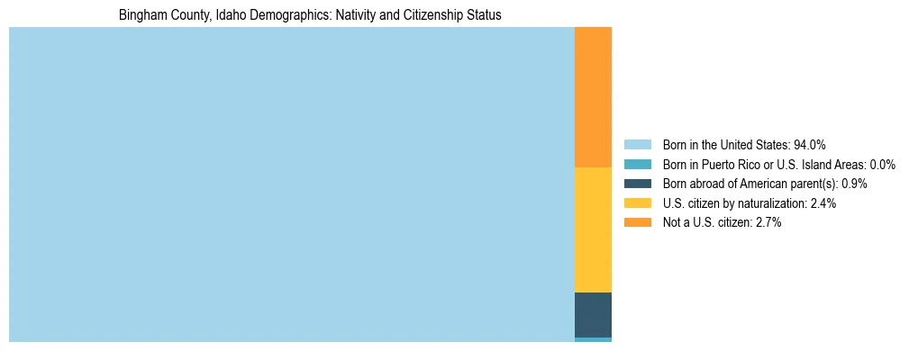 Treemap showing the population distribution by nativity and citizenship status in Bingham County, Idaho based on U.S. Census data.