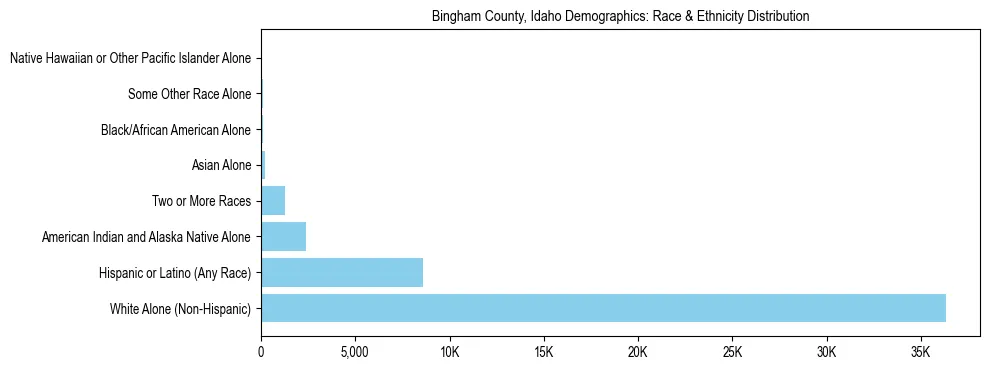 Race and Ethnicity Distribution Chart for Bingham County, Idaho