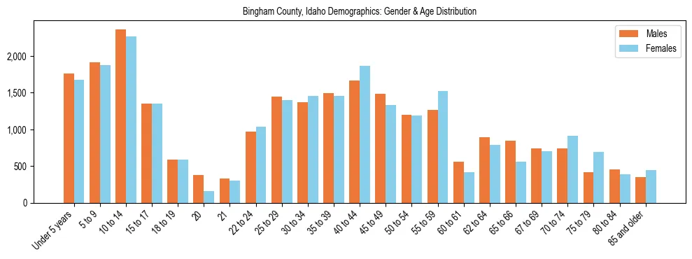 Bar chart showing the population distribution of Bingham County, Idaho by age group and gender, based on 2023 ACS data.