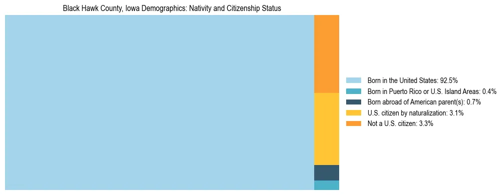 Treemap showing the population distribution by nativity and citizenship status in Black Hawk County, Iowa based on U.S. Census data.