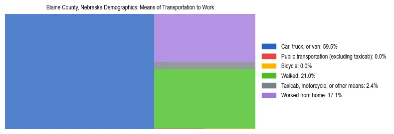 Treemap showing means of transportation to work distribution in Blaine County, Nebraska.
