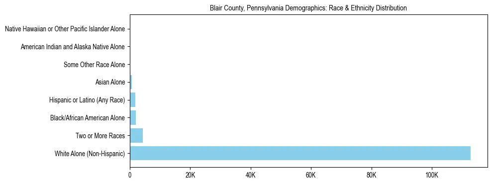 Race and Ethnicity Distribution Chart for Blair County, Pennsylvania