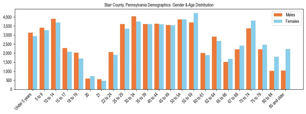 Bar chart showing the population distribution of Blair County, Pennsylvania by age group and gender, based on 2023 ACS data.