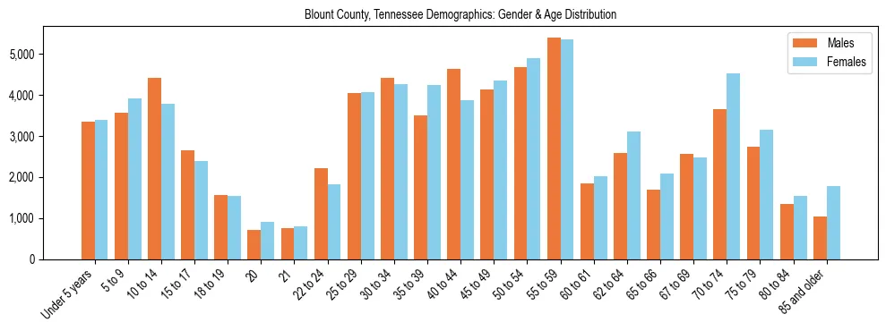 Bar chart showing the population distribution of Blount County, Tennessee by age group and gender, based on 2023 ACS data.