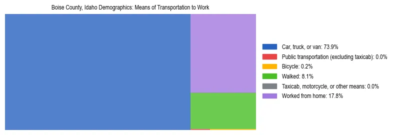 Treemap showing means of transportation to work distribution in Boise County, Idaho.